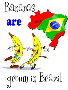 Guida completa alla forma passiva in&nbsp;inglese