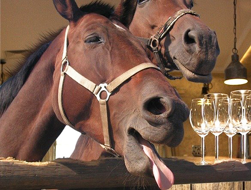 Lettura e ascolto intermediate in inglese: To be or not to&nbsp;be