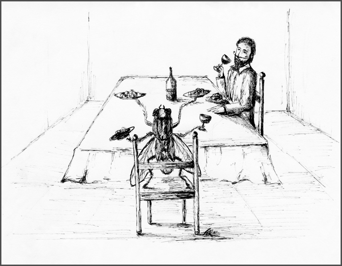 Lettura e ascolto intermediate in inglese: There was a young merchant from&nbsp;Skye