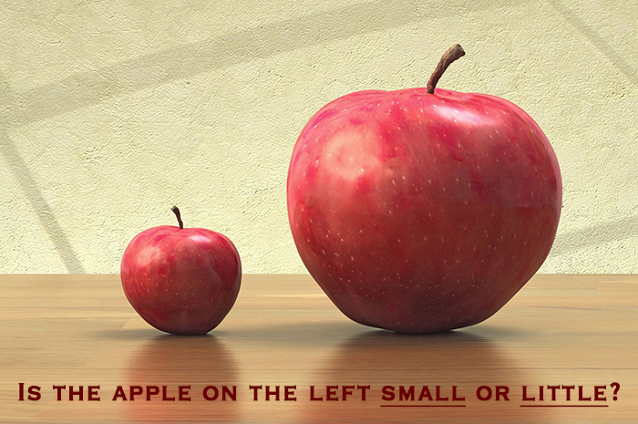 Differenza in inglese: small,&nbsp;little