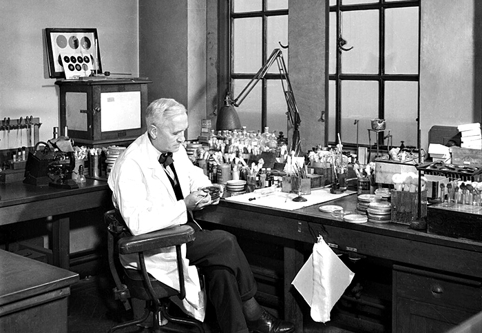 The Discovery of&nbsp;Penicillin
